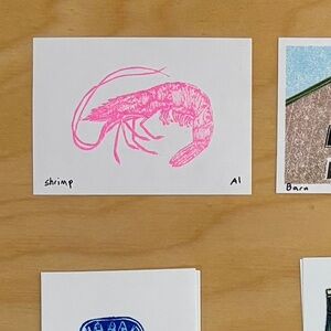 Inciardi Pink Shrimp Mini Print